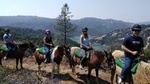 Sonoma Horseback-Riding Tour