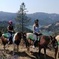 Sonoma Horseback-Riding Tour