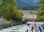 Visit Bradford Island Visitor Center at Bonneville Lock and Dam, Oregon
