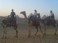 Half Day Tour Around Giza Pyramids By Camel