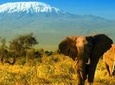 2-Day Amboseli safari from Nairobi