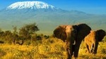 2-Day Amboseli safari from Nairobi
