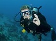2 Fun Dives for certified Divers