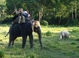 3-Day All Inclusive Chitwan Safari Tour from Kathmandu