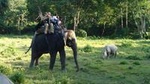 3-Day All Inclusive Chitwan Safari Tour from Kathmandu