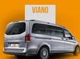 Amsterdam City Departure Private Transfer to Amsterdam Port in Luxury Van
