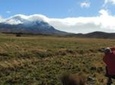 Antisana Volcano and Condors Watching Private Day Tour