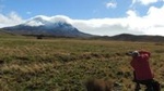 Antisana Volcano and Condors Watching Private Day Tour