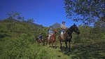 Horseback Ride to La Fortuna Waterfall