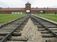 Auschwitz-Birkenau and Wieliczka Salt Mine Day Tour from Krakow with private car