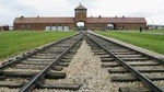 Auschwitz-Birkenau and Wieliczka Salt Mine Day Tour from Krakow with private car