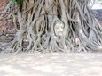 Private - AYUTTHAYA ONE DAY TOUR incl. Special River Barge Lunch