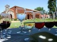 Bouza Winery Lunch (Esp, Eng, Port)