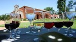 Bouza Winery Lunch (Esp, Eng, Port)