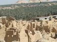 Budget Travel Package to Siwa Oasis from Cairo or Giza