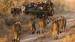Aquila Safari Game Tour (Big 5)