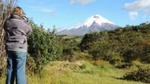 Cotopaxi National Park Private Day Tour