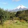 Cotopaxi National Park Private Day Tour
