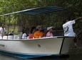 Damas Mangroove Boat Tour from Manuel Antonio