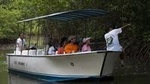 Damas Mangroove Boat Tour from Manuel Antonio