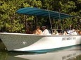 Damas Mangrove Boat Tour