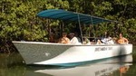 Damas Mangrove Boat Tour