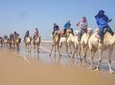 Day Camel Ride with Picnic on Essaouira's beach