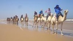Day Camel Ride with Picnic on Essaouira's beach