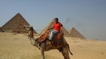 Day Tour: Egypt Pyramids, Memphis and Sakkara