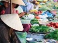 FARM TOUR AND HOME COOKING WITH LOCAL FAMILY IN HANOI 3-5 hours