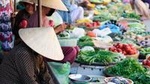 FARM TOUR AND HOME COOKING WITH LOCAL FAMILY IN HANOI 3-5 hours