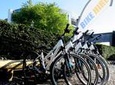 Full Day Bike Rental
