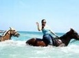 Heritage beach horseback riding