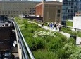 High Line and Hudson Yards Walking Tour