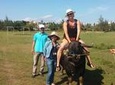 Hoi An Life Style Tour