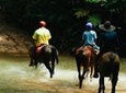 Horseback Riding and Waterfalls from Manuel Antonio