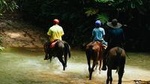 Horseback Riding and Waterfalls from Manuel Antonio