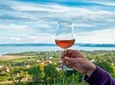 Balaton Lake Full Day Private Wine Tour
