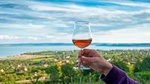 Balaton Lake Full Day Private Wine Tour