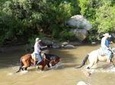 Leisurely Half Day Trail Riding in San Miguel de Allende