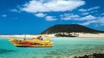 Lobos Island - The dolphin route
