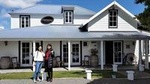 Half Day Martinborough Winery Tour from Wellington