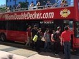 City Half Day Tour of Miami by Bus with Sightseeing Cruise