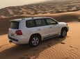 Morning Desert Safari