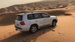 Morning Desert Safari