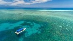 Ocean Safari Great Barrier Reef Experience in Cape Tribulation