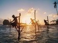 Southern Coast Highlights from Negombo