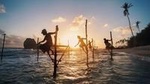 Southern Coast Highlights from Negombo