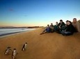Private Phillip Island Day Trip from Melbourne Including Penguin Parade Premium Viewing