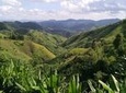 Private Tour: Chiang Rai Golden Triangle Day Trip from Chiang Mai